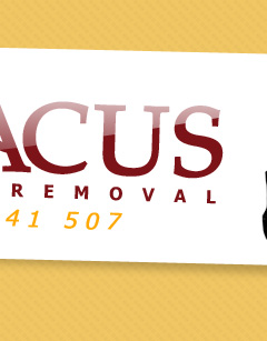Abacus Piano Removals